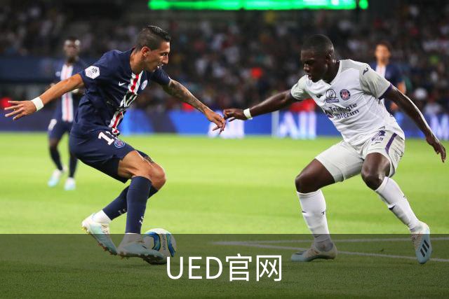 UED官网公司简介